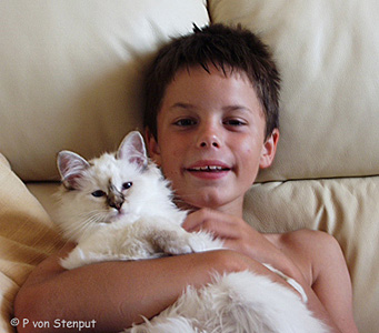 von Stenput and a kitten